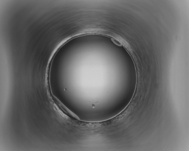 X0000113310912200909141309