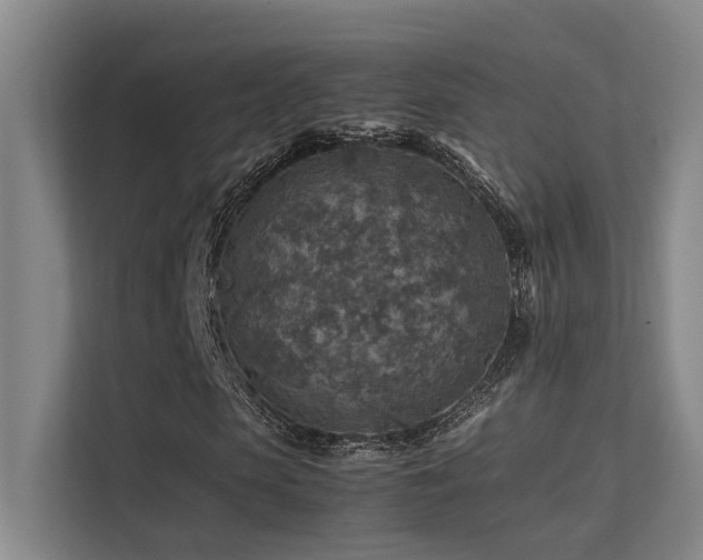 X0000113310913200909141308