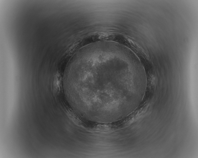 X0000113310914200909141308