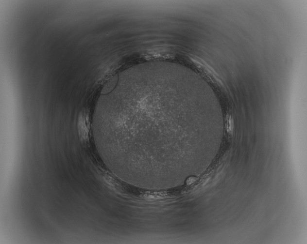 X0000113310915200909141308