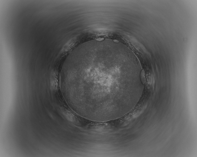 X0000113310916200909141308