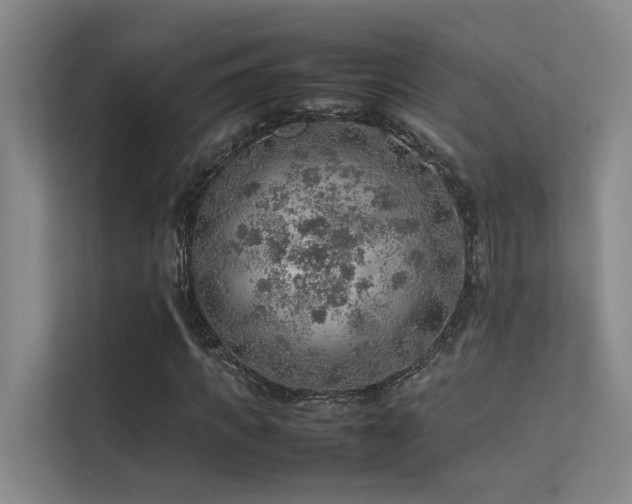 X0000113310917200909141309