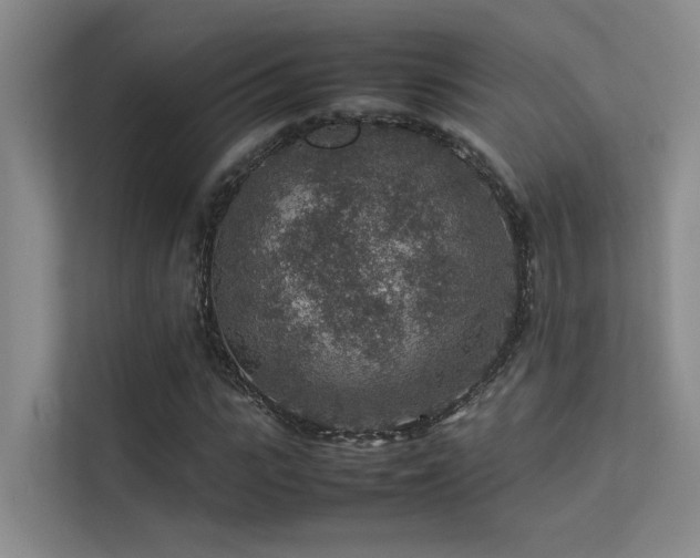 X0000113310919200909141309