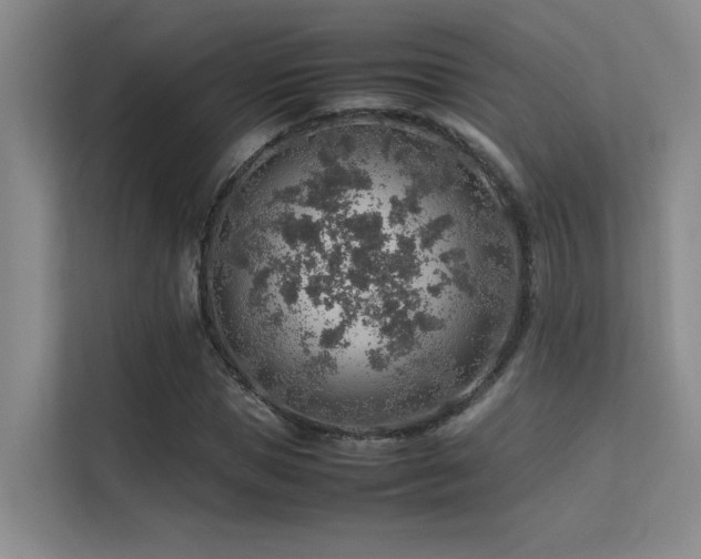 X0000113310921200909141309