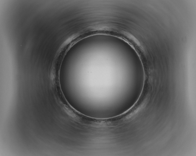 X0000113310922200909141309