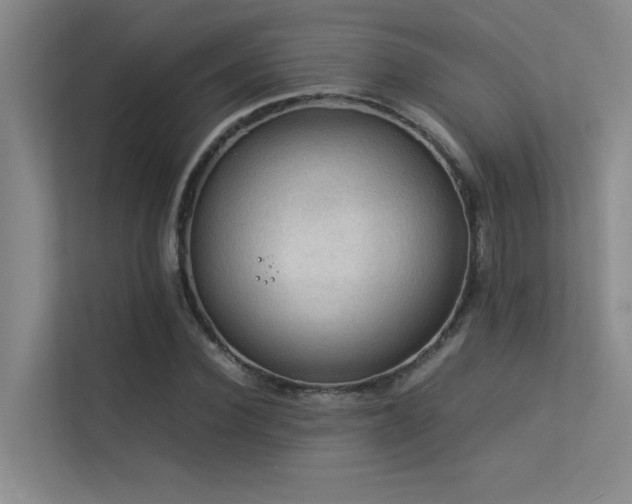 X0000113310924200909141309