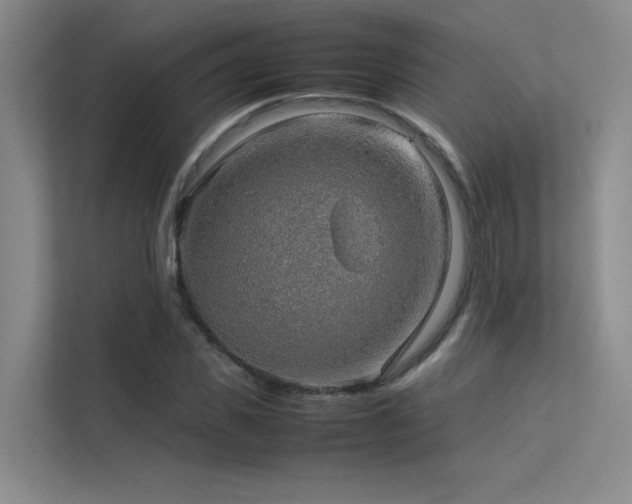 X0000113310925200909141309