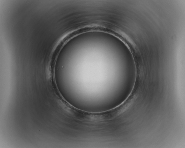 X0000113310927200909141309