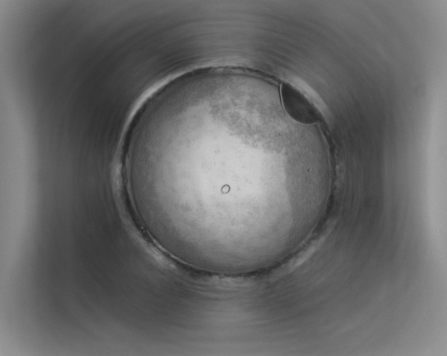 X0000113310928200909141309