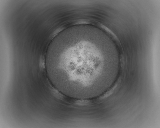 X0000113310929200909141309