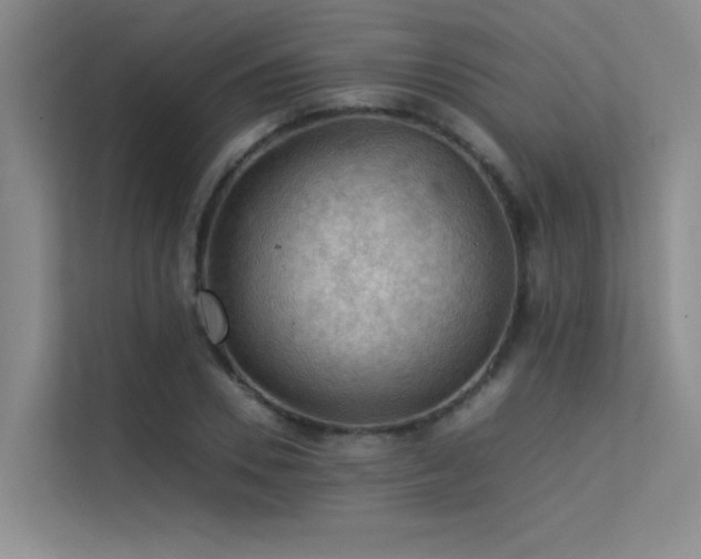 X0000113310930200909141309