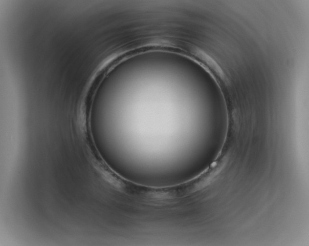 X0000113310931200909141309