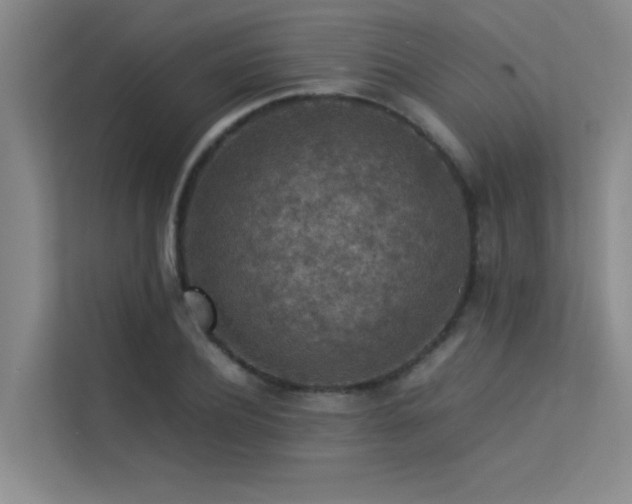 X0000113310932200909141309