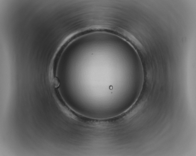 X0000113310934200909141309