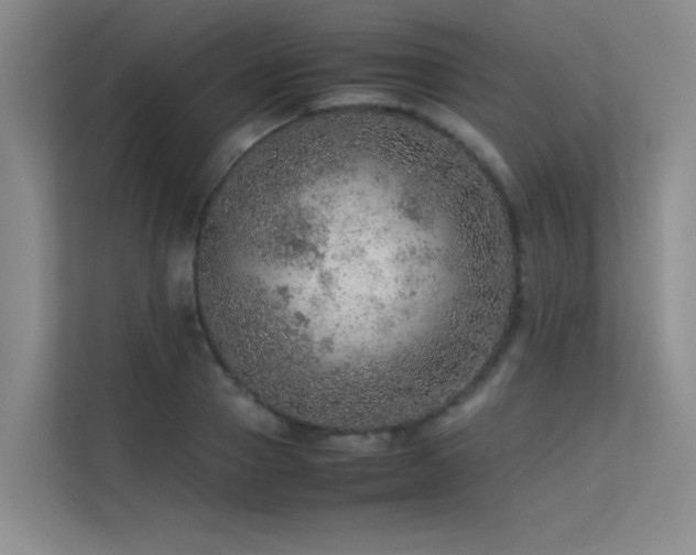 X0000113310937200909141309