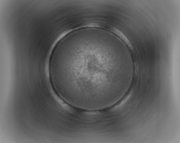 X0000113310939200909141309