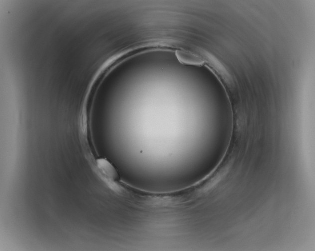 X0000113310940200909141309