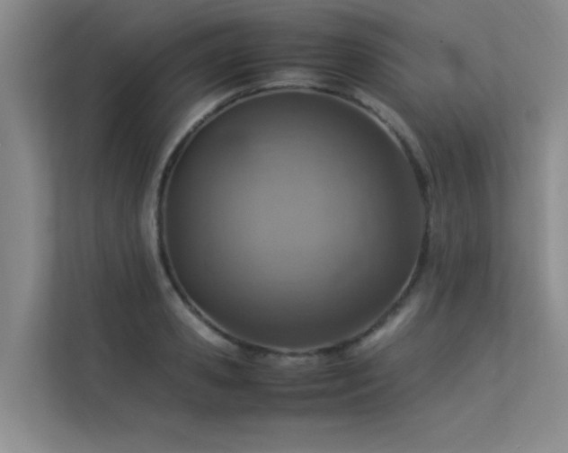 X0000113310941200909141309