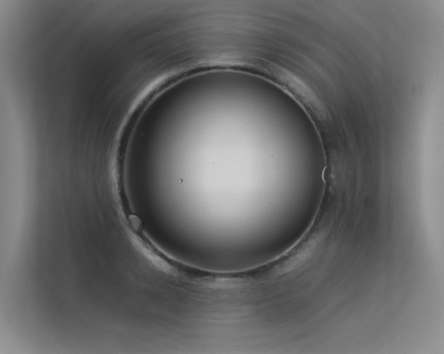 X0000113310942200909141309