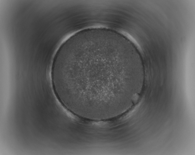 X0000113310943200909141309