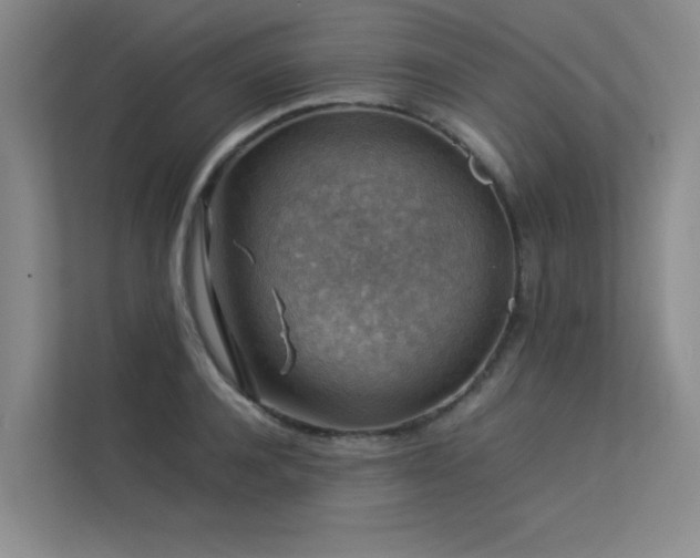 X0000113310944200909141309