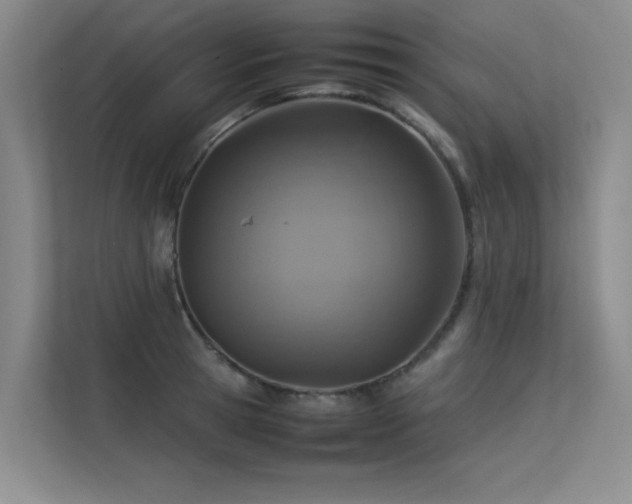 X0000113310945200909141309