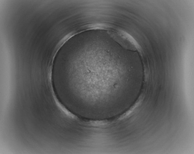 X0000113310946200909141309