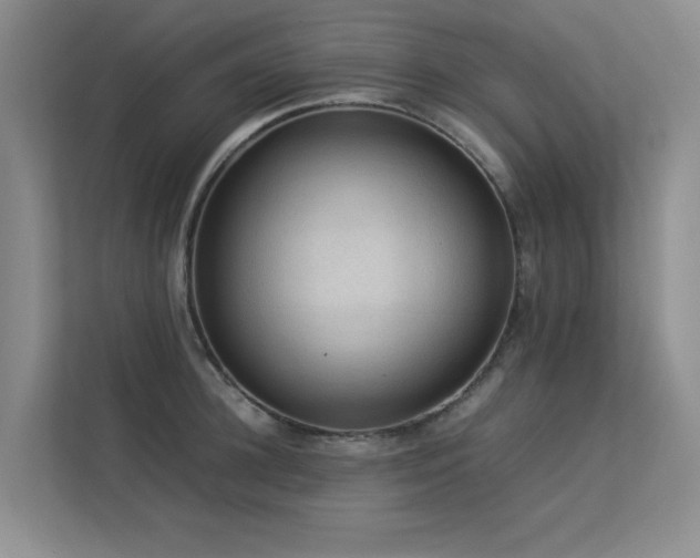 X0000113310948200909141309