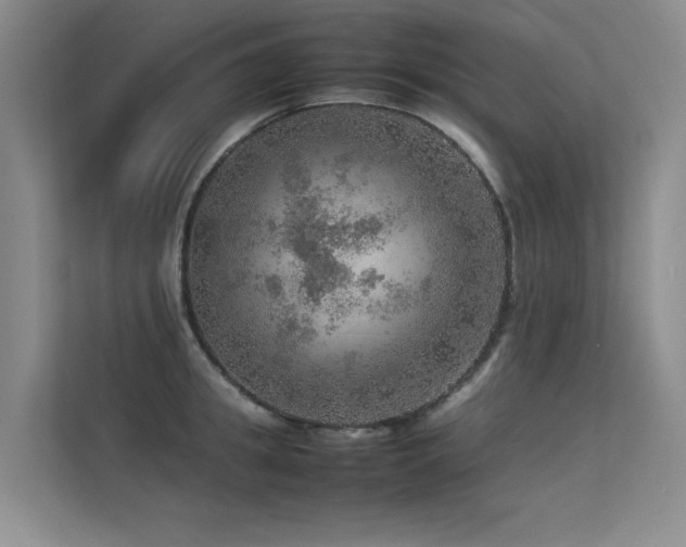 X0000113310949200909141309