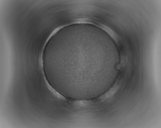 X0000113310950200909141309