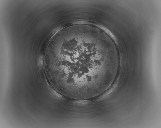 X0000113310953200909141309