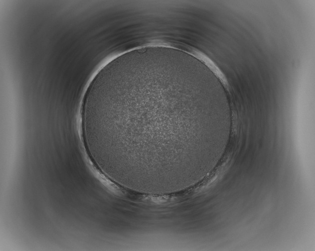 X0000113310955200909141309