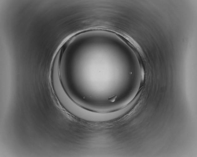 X0000113310956200909141309