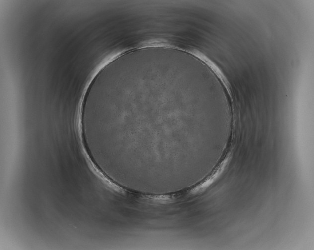 X0000113310957200909141309