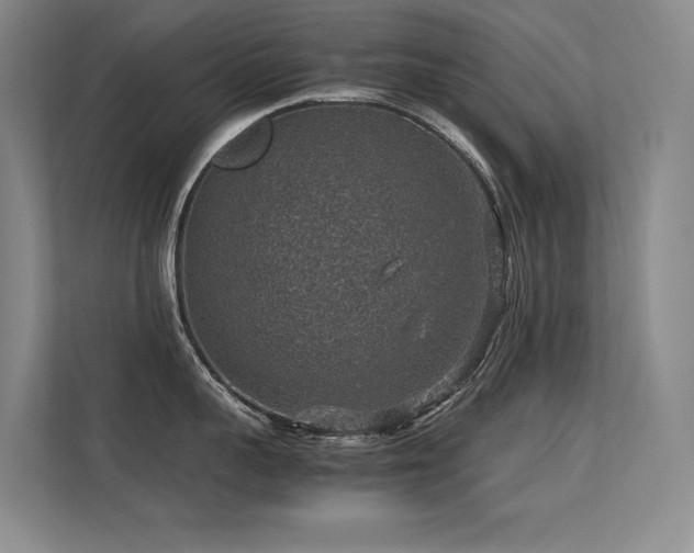 X0000113310959200909141309