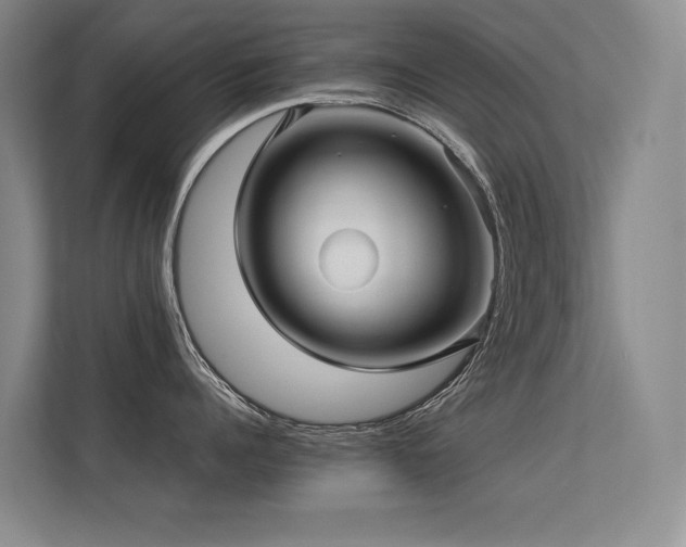 X0000113310960200909141309