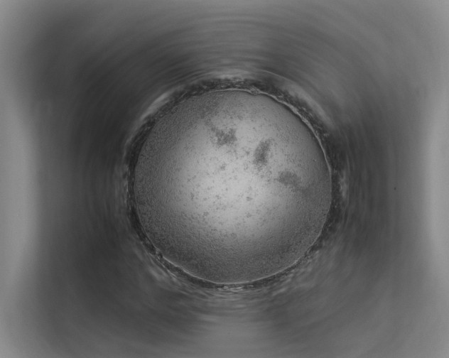 X0000113310968200909141308