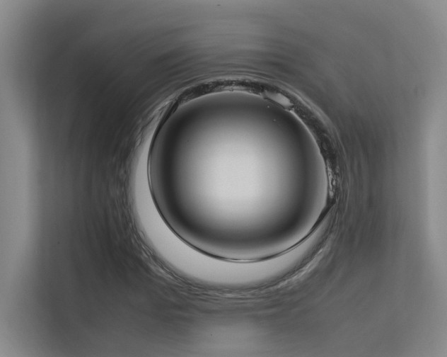 X0000113310969200909141308