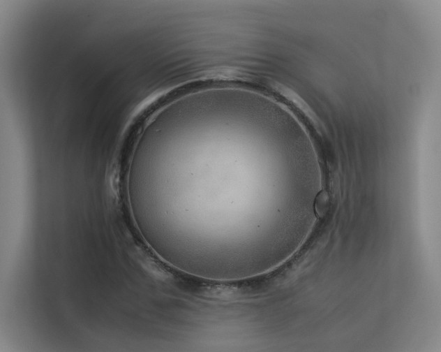 X0000113310971200909141308