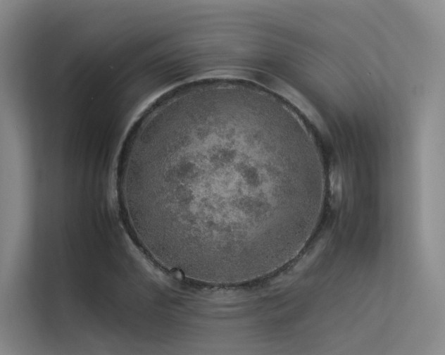 X0000113310972200909141308