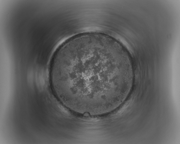 X0000113310975200909141308