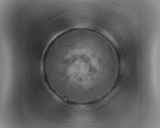 X0000113310976200909141308