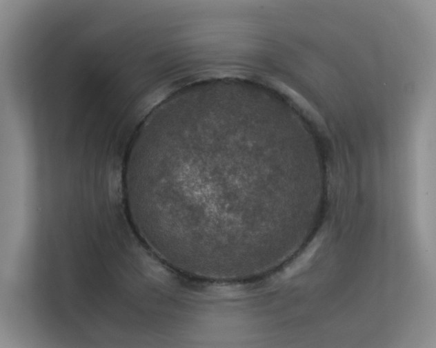 X0000113310977200909141308