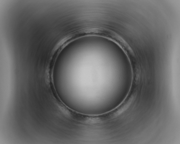 X0000113310978200909141308