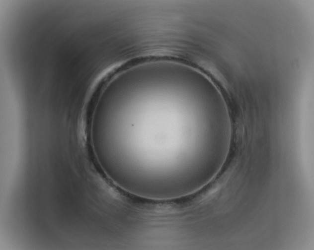 X0000113310979200909141308