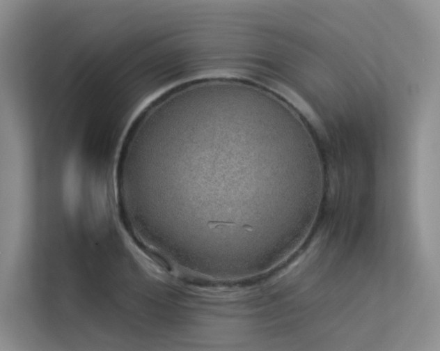 X0000113310980200909141308