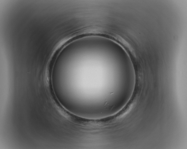 X0000113310981200909141308