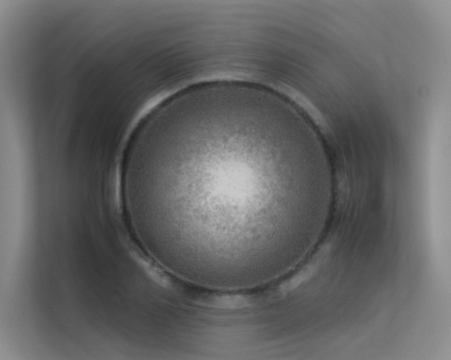 X0000113310982200909141308