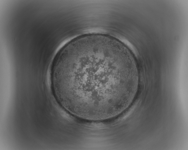 X0000113310983200909141308