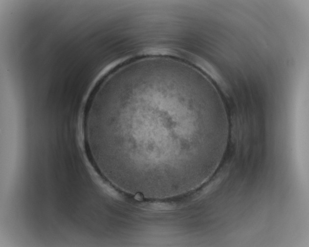 X0000113310984200909141308